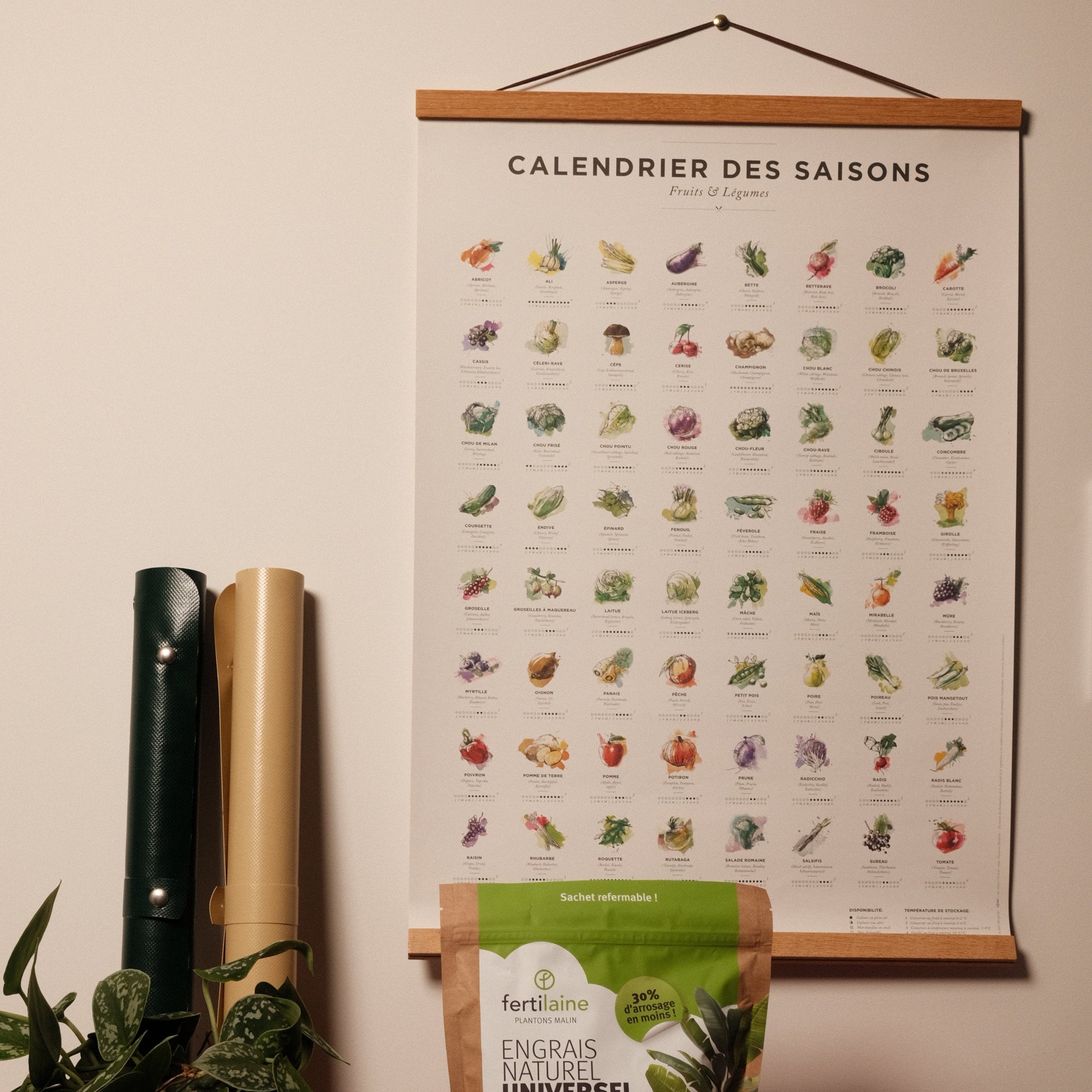 fertilaine-affiche-des-saisons-a2-fruits-et-l-gumes-42x49-cm image 1