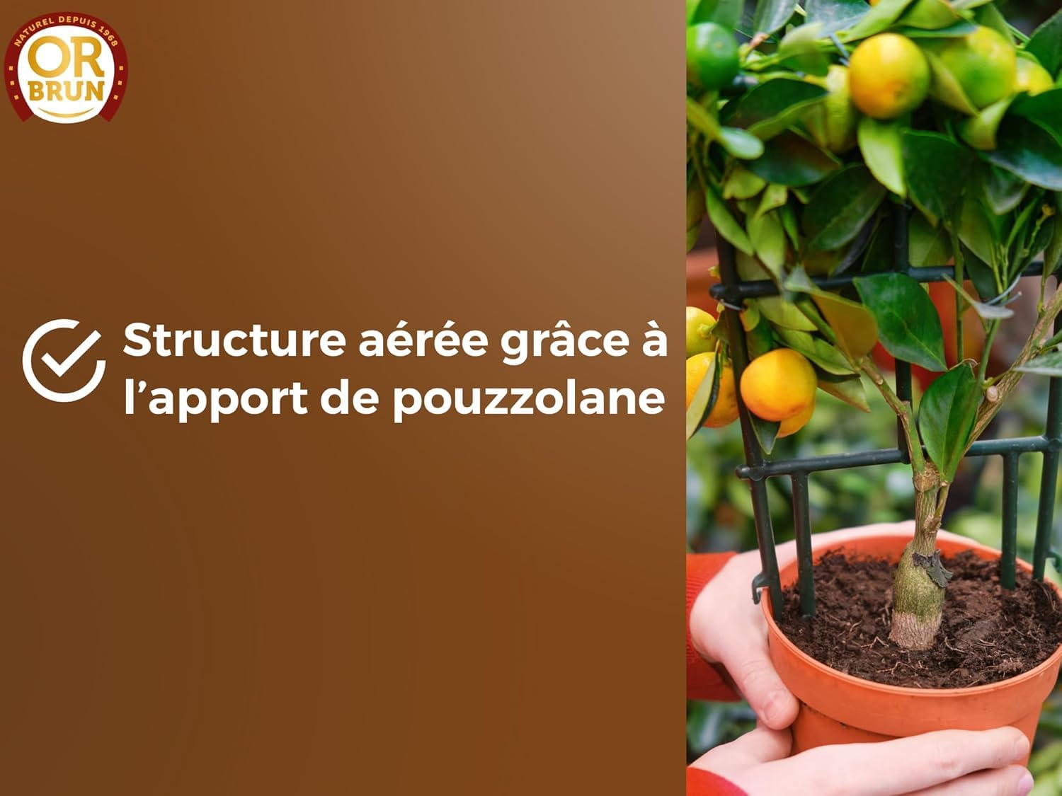 or-brun-p-re-fran-ois-terreau-agrumes-20-l-citronniers-en-pot image 3