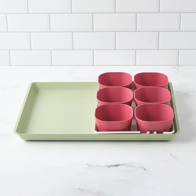 bamboozle-prep-serve-prep-n-serve-lot-6-coupelles-rouges image 1