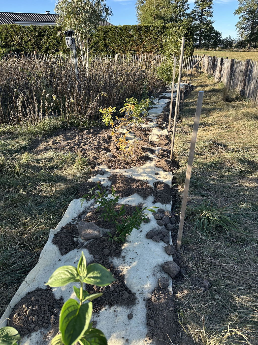 Fini la mousse