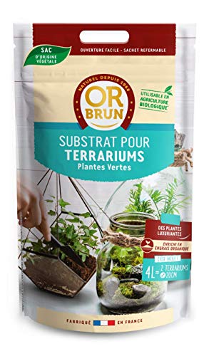 or-brun-p-re-fran-ois-terreau-terrarium-4-l-bio-humide image 5