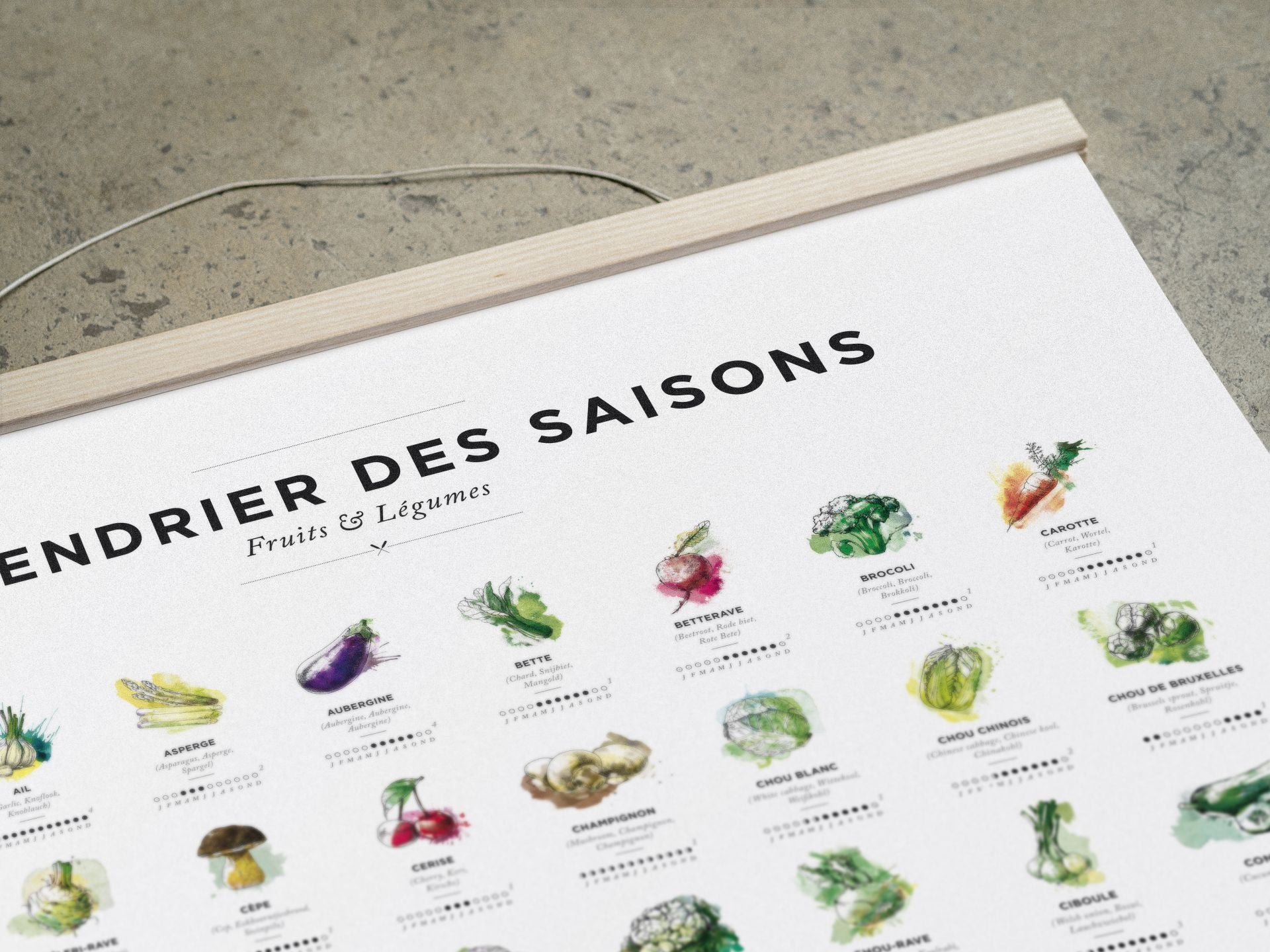 fertilaine-calendriers-affiche-calendrier-plantation-30x40cm-illustr-e image 4