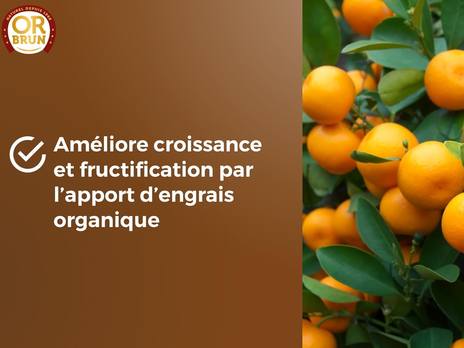or-brun-p-re-fran-ois-terreau-agrumes-20-l-citronniers-en-pot image 4