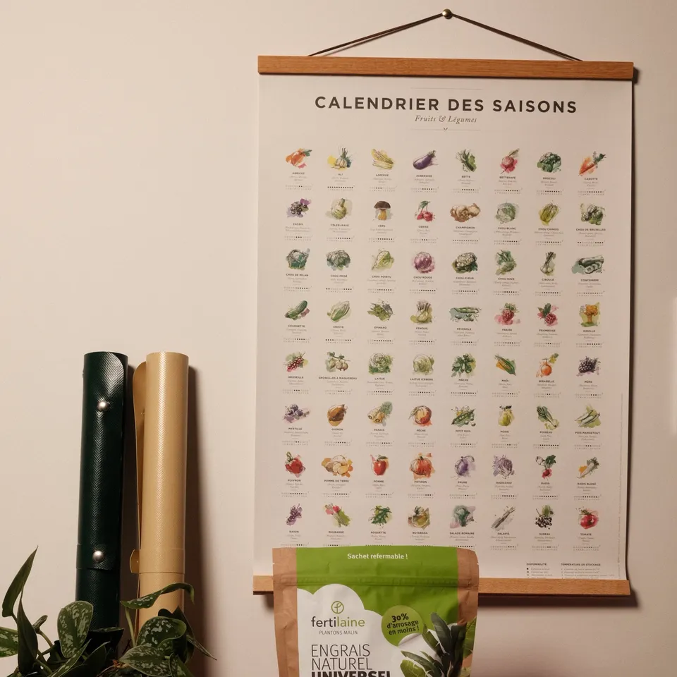 fertilaine-affiche-des-saisons-a2-fruits-et-l-gumes-42x49-cm image 1