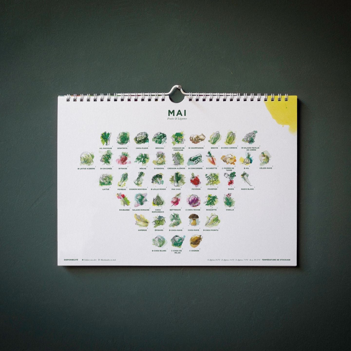 fertilaine-calendriers-saison-fruits-et-l-gumes-calendrier-r-utilisable image 4