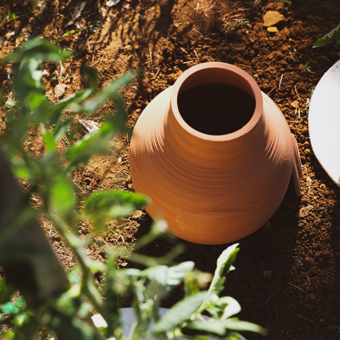 fertilaine-les-ollas-pot-irrigation-enterrer-1-5-l image 1
