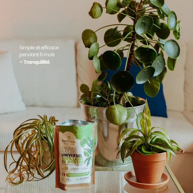 fertilaine-engrais-int-rieur-engrais-plantes-500g-6-mois image 1