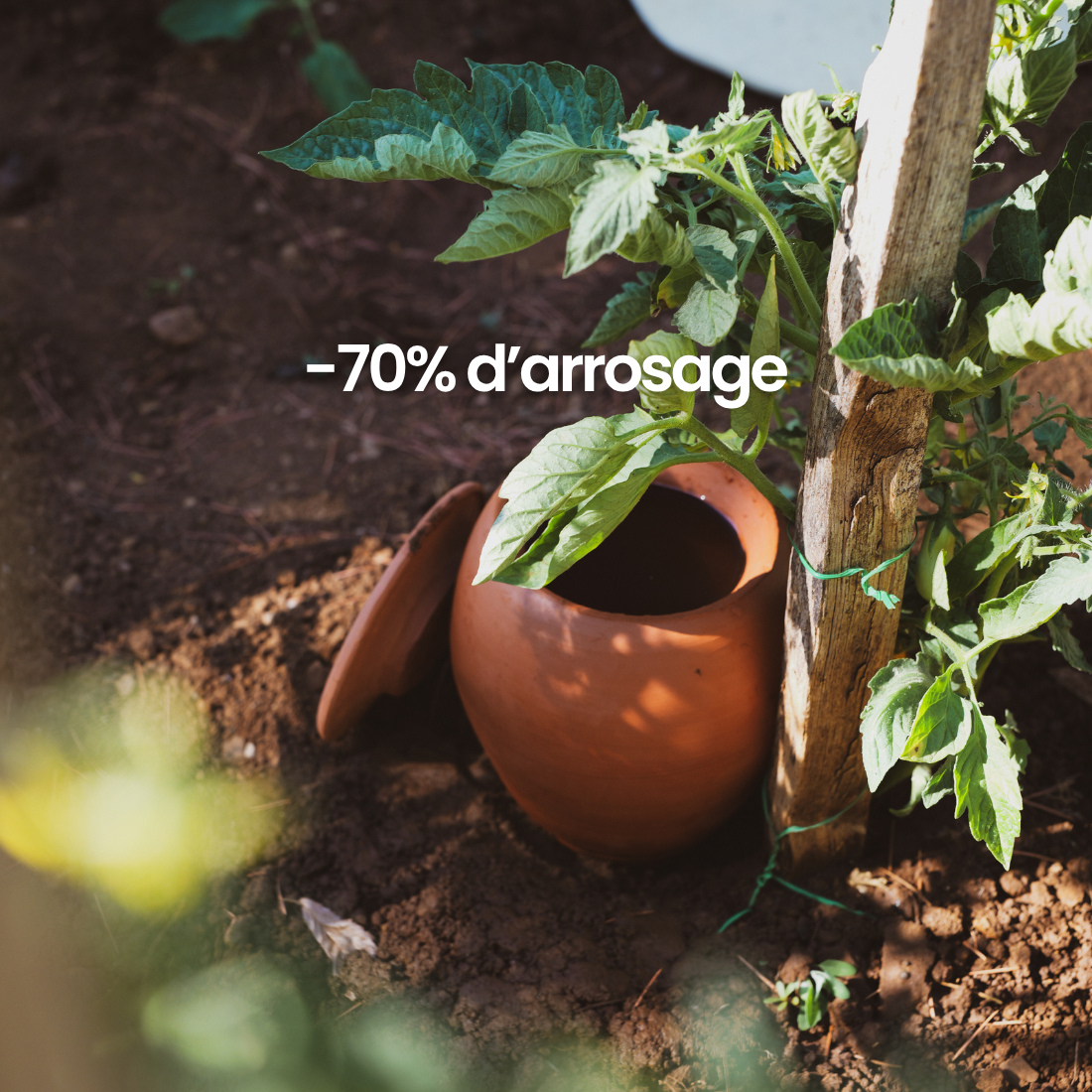 fertilaine-les-ollas-olla-planter-c-ramique-0-3l-autonome image 2