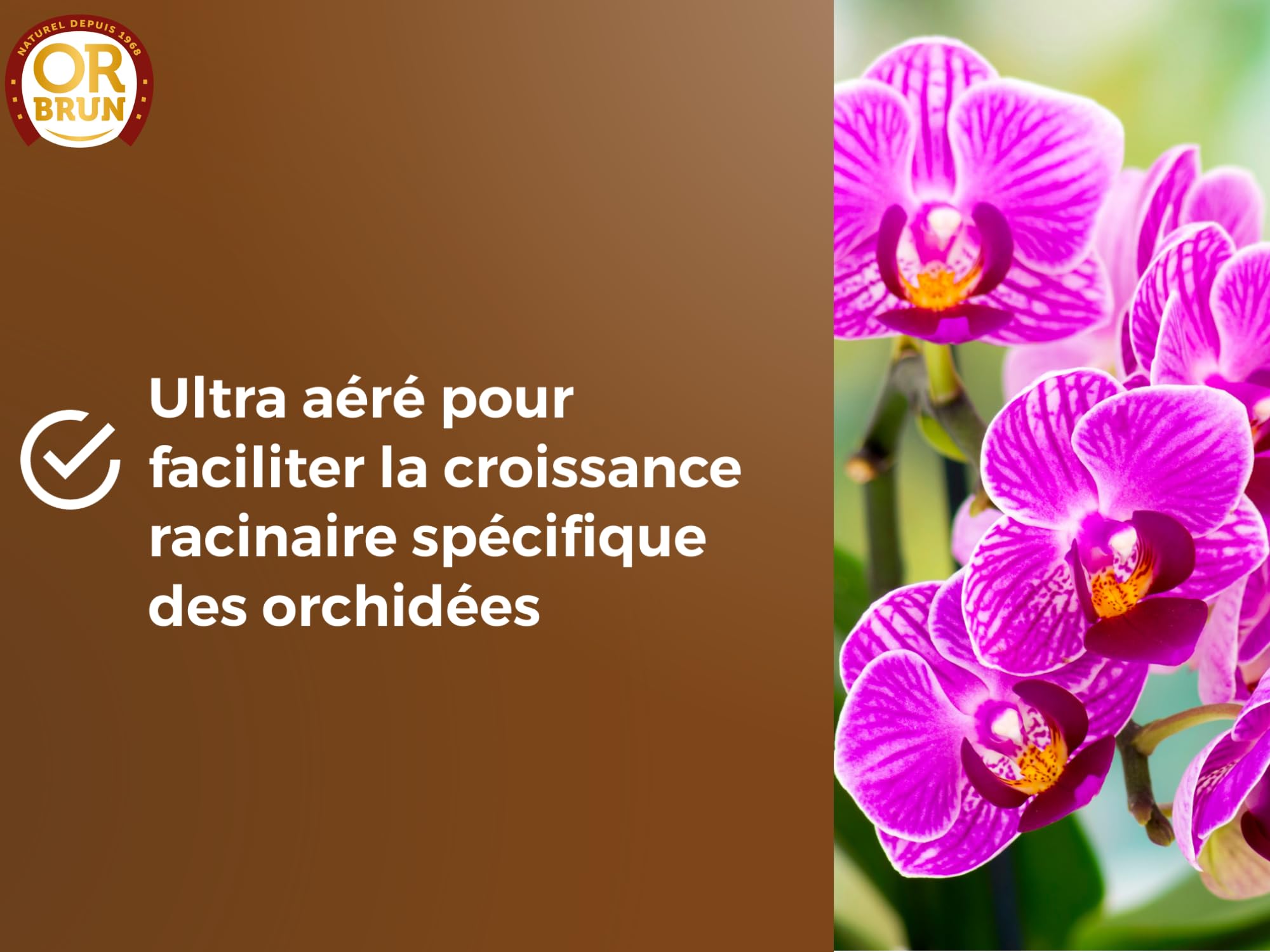 or-brun-p-re-fran-ois-terreau-orchid-es-6l-a-r image 5
