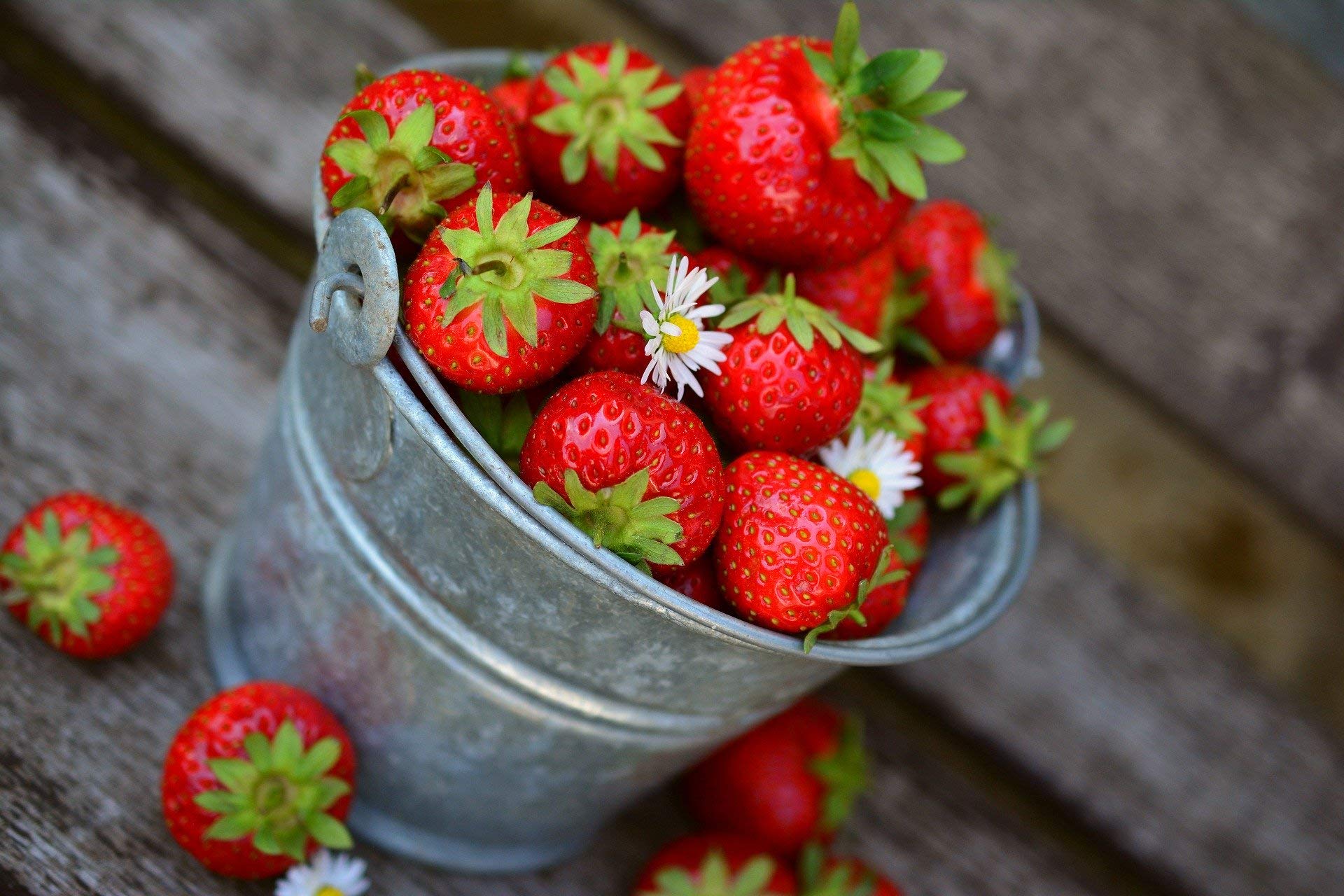 or-brun-or-activ-engrais-fraisiers-uab-650g-fruits-rouges image 3