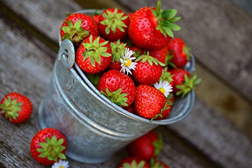 or-brun-or-activ-engrais-fraisiers-uab-650g-fruits-rouges image 6