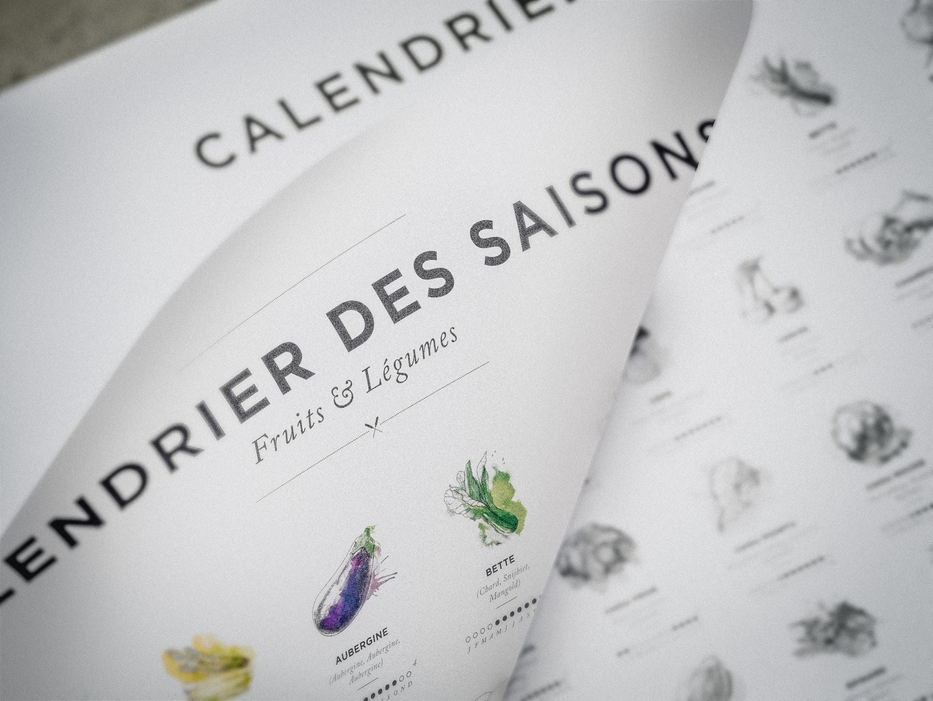 fertilaine-calendriers-affiche-calendrier-plantation-30x40cm-illustr-e image 6