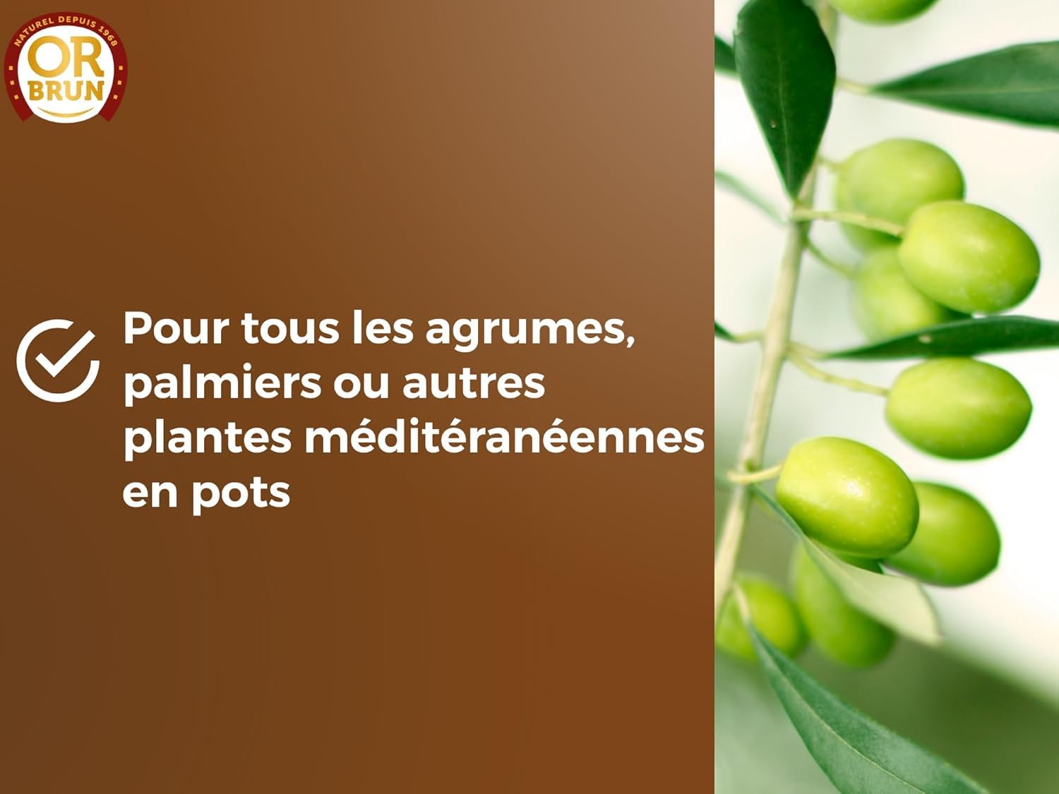 or-brun-p-re-fran-ois-terreau-agrumes-20-l-citronniers-en-pot image 5