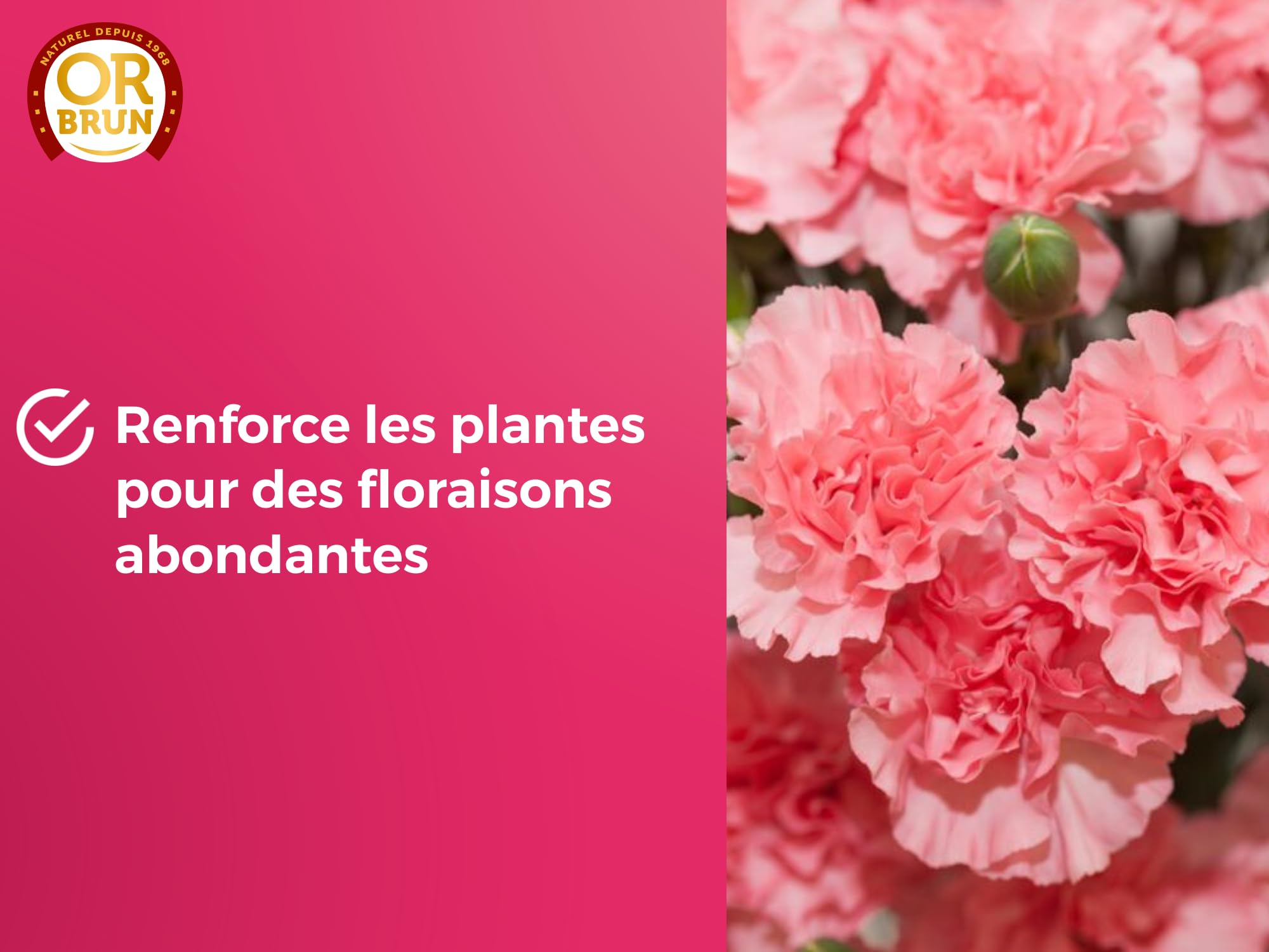 or-brun-or-activ-engrais-fleurs-liquide-1l-npk-3-3-6 image 4
