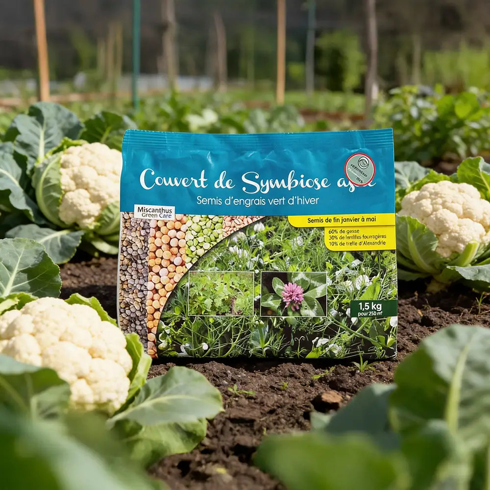 permaculture-fertile-semis-engrais-vert-hiver-1-5kg image 3