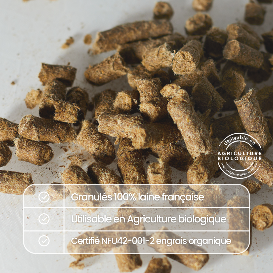 fertilaine-engrais-int-rieur-engrais-plantes-500g-6-mois image 3