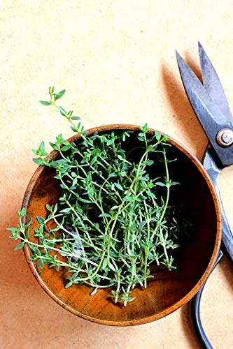 or-brun-orbio-terreau-plantes-aromatiques-3-l image 8