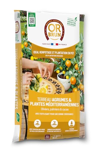 or-brun-p-re-fran-ois-terreau-agrumes-20-l-citronniers-en-pot image 6