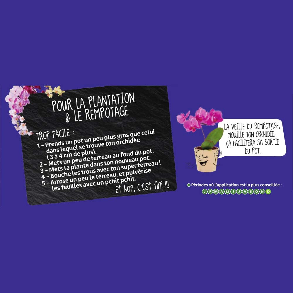 or-brun-orbio-terreau-orchid-es-3l-floraison-naturel image 4