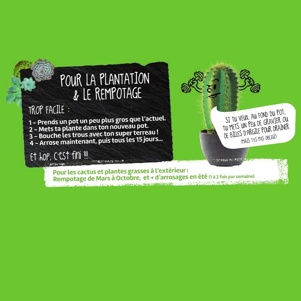 or-brun-p-re-fran-ois-terreau-cactus-3l-drainant image 4