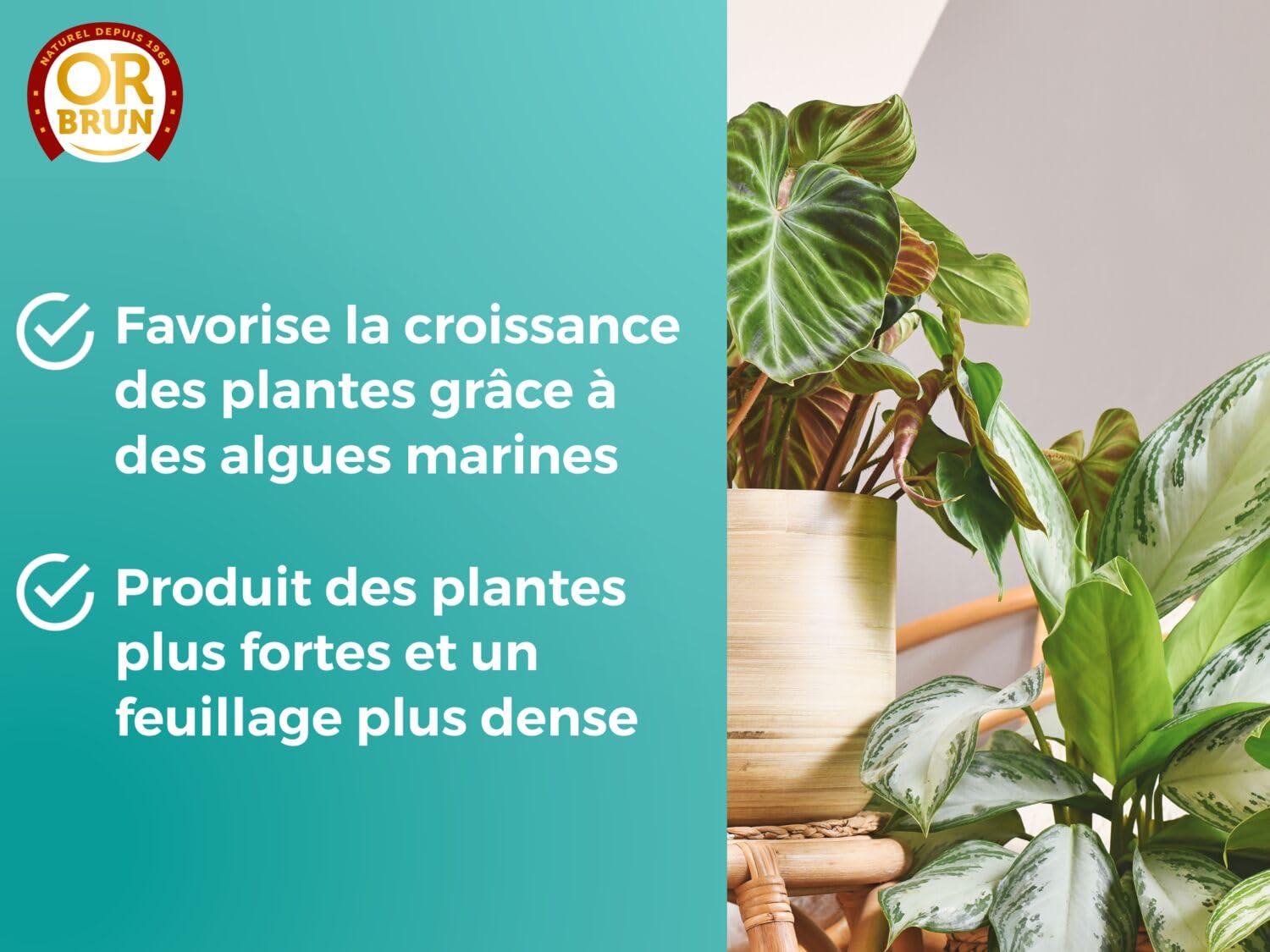 or-brun-or-activ-engrais-plantes-vertes-250-ml-bio image 4