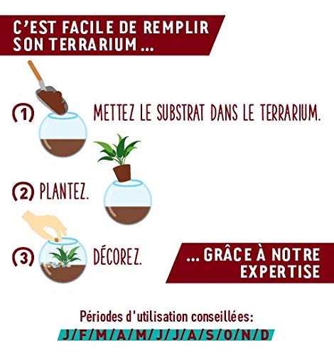or-brun-p-re-fran-ois-terreau-terrarium-4-l-bio-humide image 8