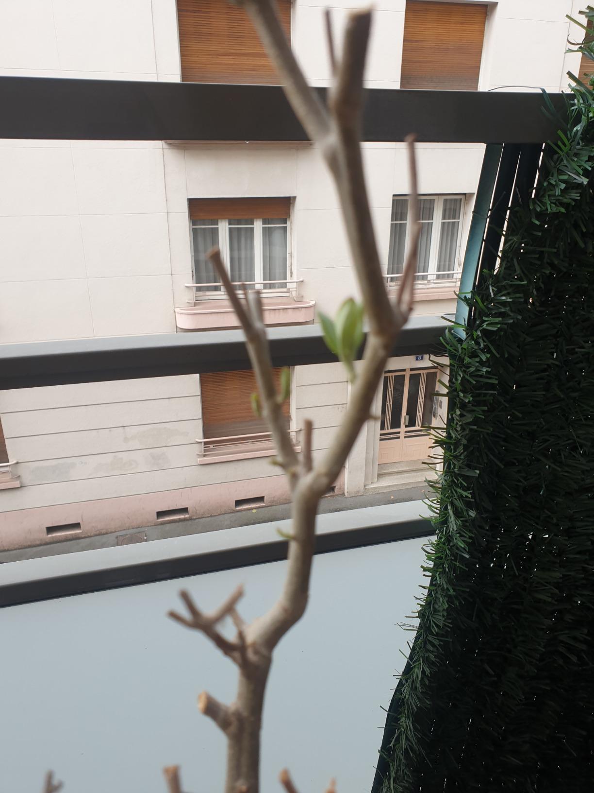Petits fruits tenus